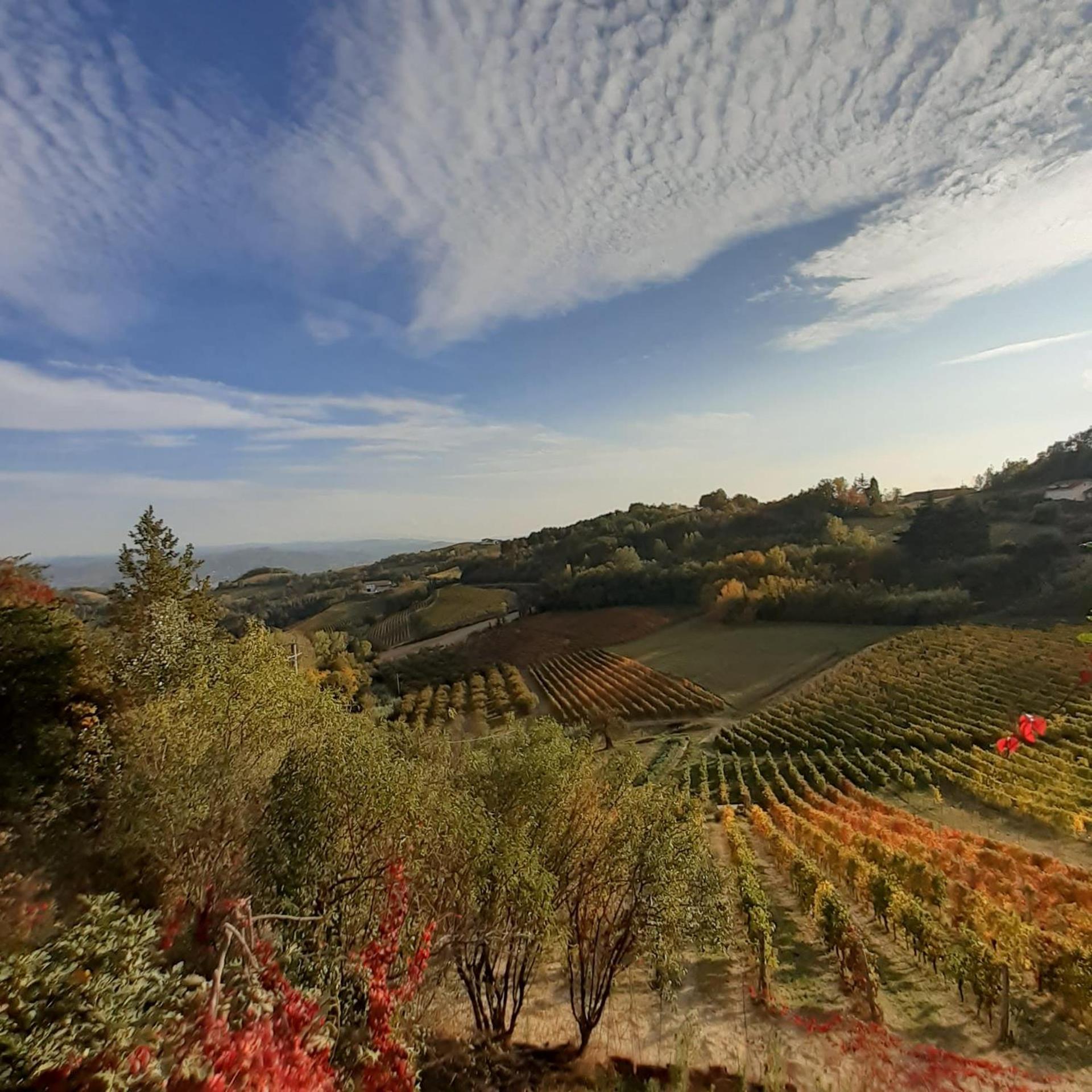 La Giribaldina Winery & Farmhouse Каламандрана Экстерьер фото